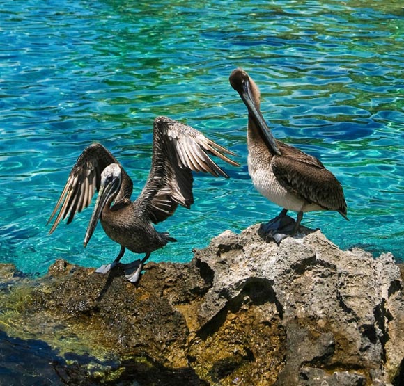 El Salado Estuary en Puerto Vallarta