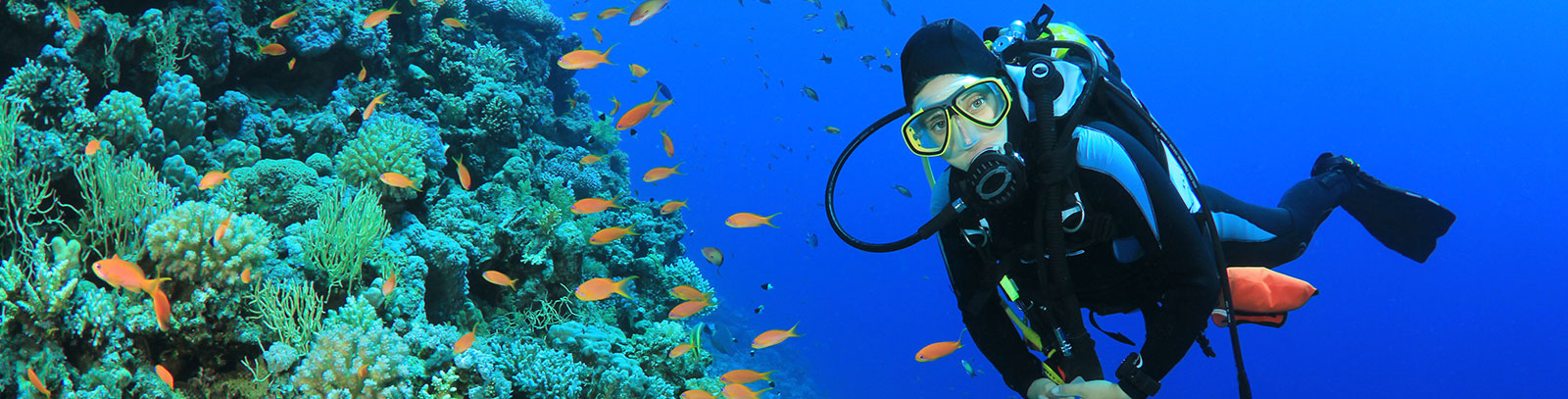 Isla de Coral en Rincón de Guayabitos